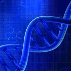 DNA strands