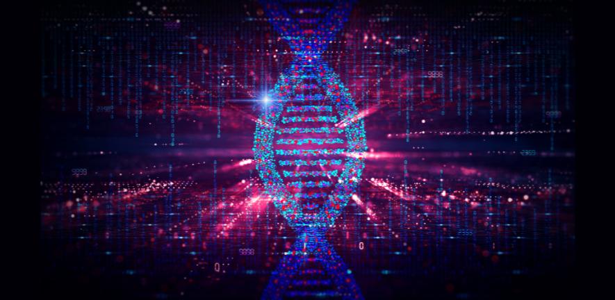 DNA variations are used to calculate polygenic risk scores DNA - variations are used for risk scores