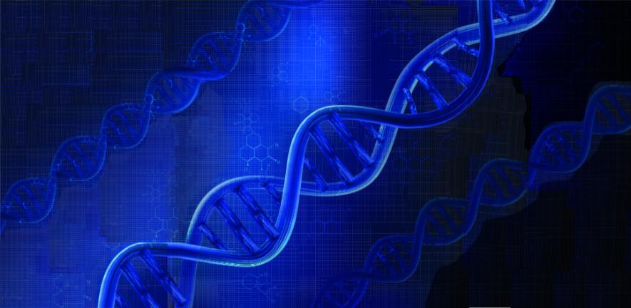 DNA strands